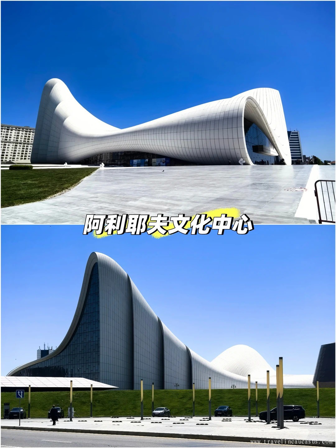独行高加索2.jpg